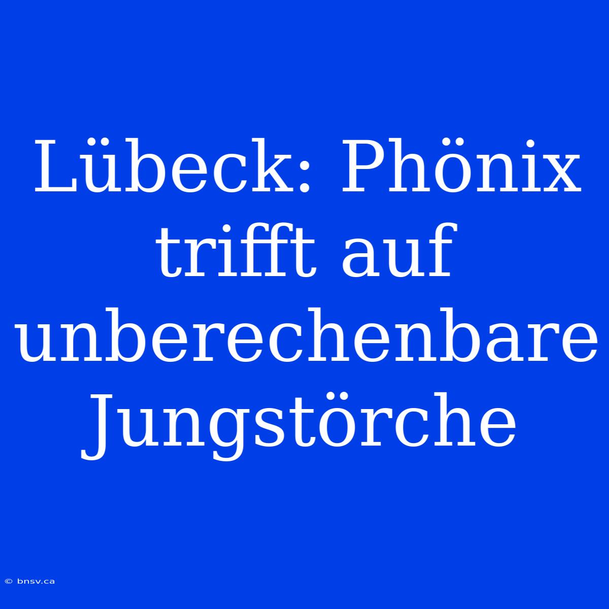 Lübeck: Phönix Trifft Auf Unberechenbare Jungstörche