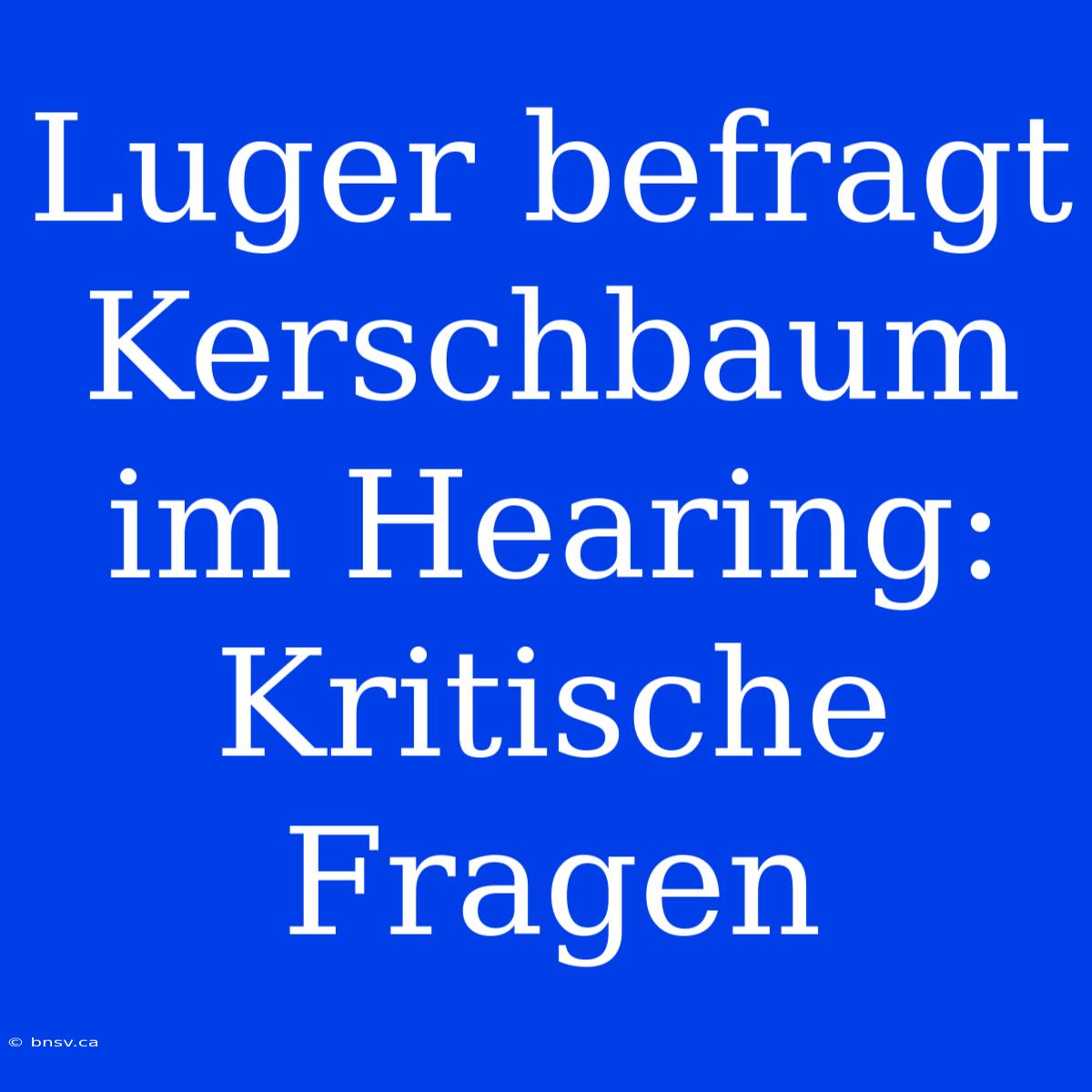 Luger Befragt Kerschbaum Im Hearing: Kritische Fragen