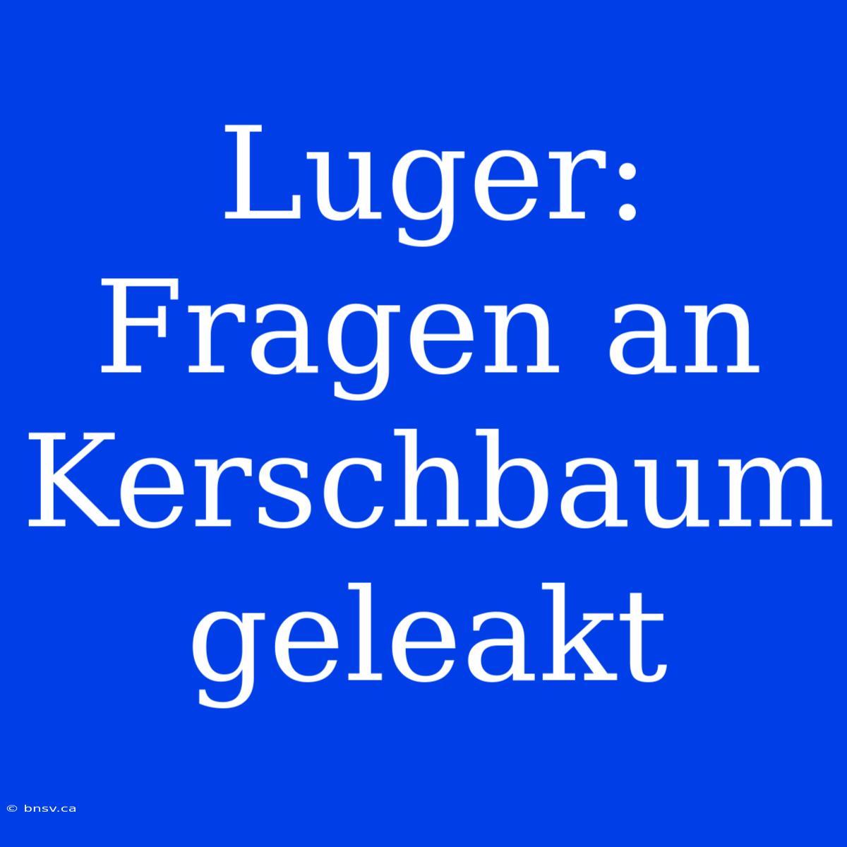 Luger:  Fragen An Kerschbaum Geleakt