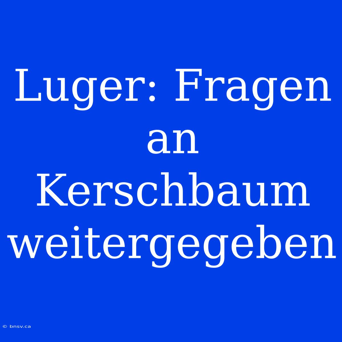 Luger: Fragen An Kerschbaum Weitergegeben