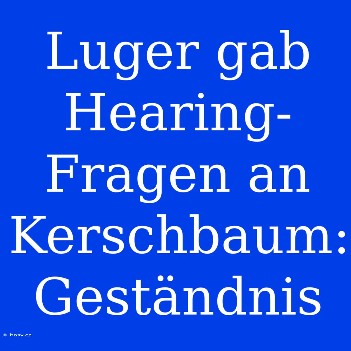 Luger Gab Hearing-Fragen An Kerschbaum: Geständnis