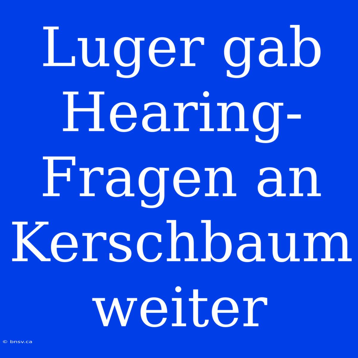 Luger Gab Hearing-Fragen An Kerschbaum Weiter