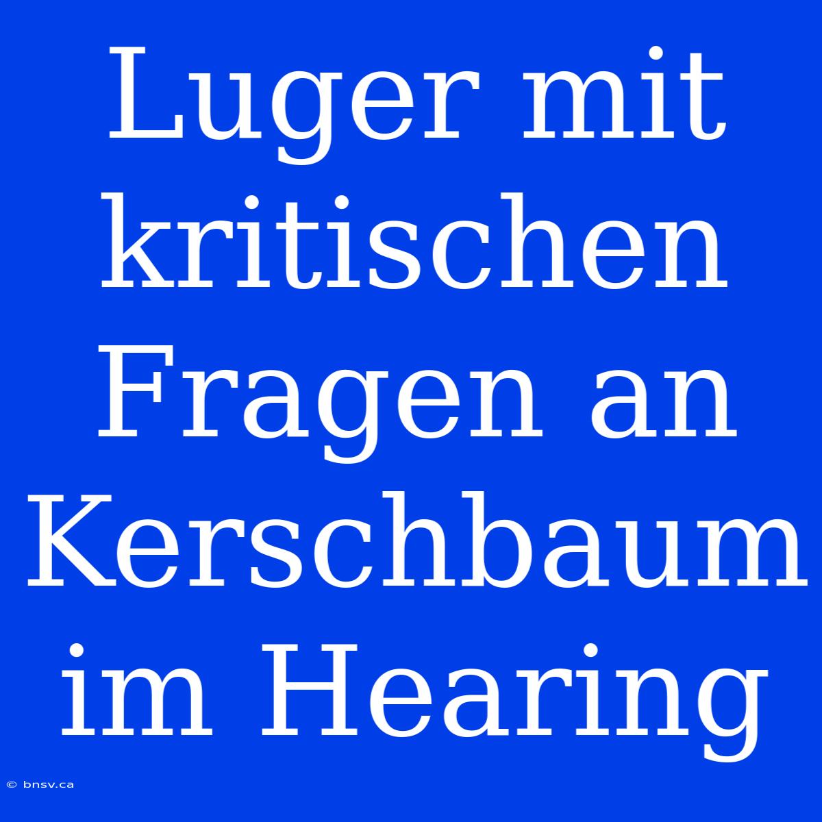 Luger Mit Kritischen Fragen An Kerschbaum Im Hearing