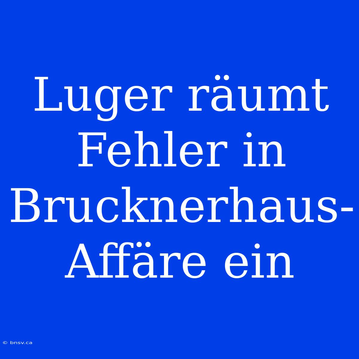 Luger Räumt Fehler In Brucknerhaus-Affäre Ein