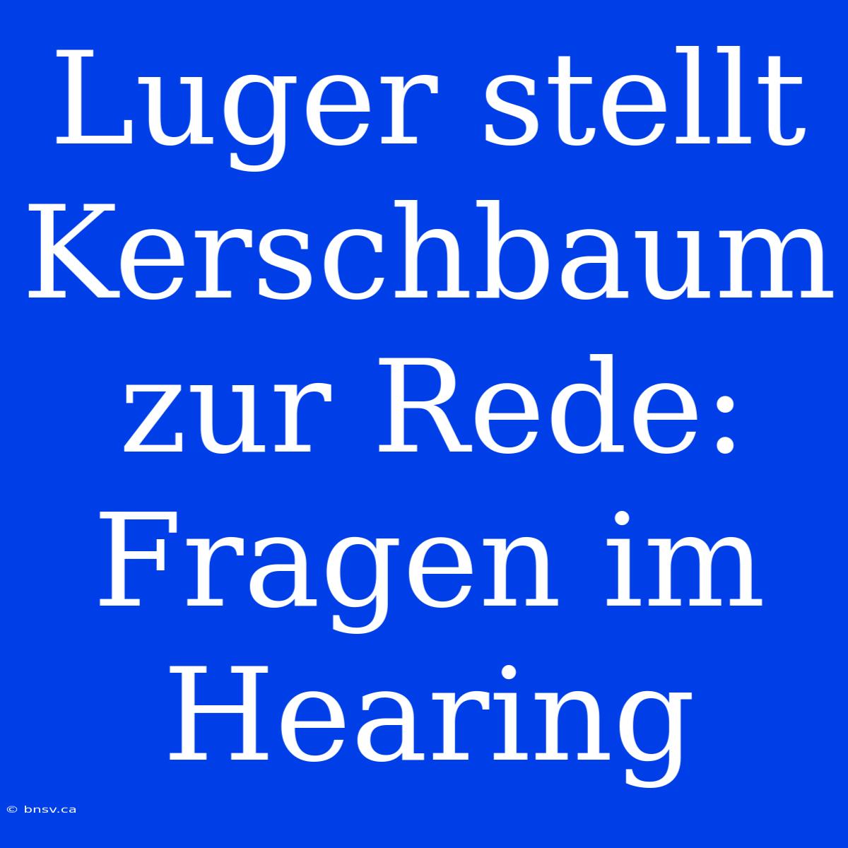 Luger Stellt Kerschbaum Zur Rede: Fragen Im Hearing