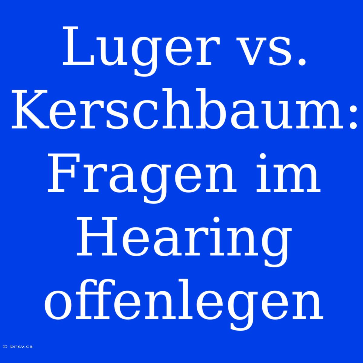 Luger Vs. Kerschbaum: Fragen Im Hearing Offenlegen