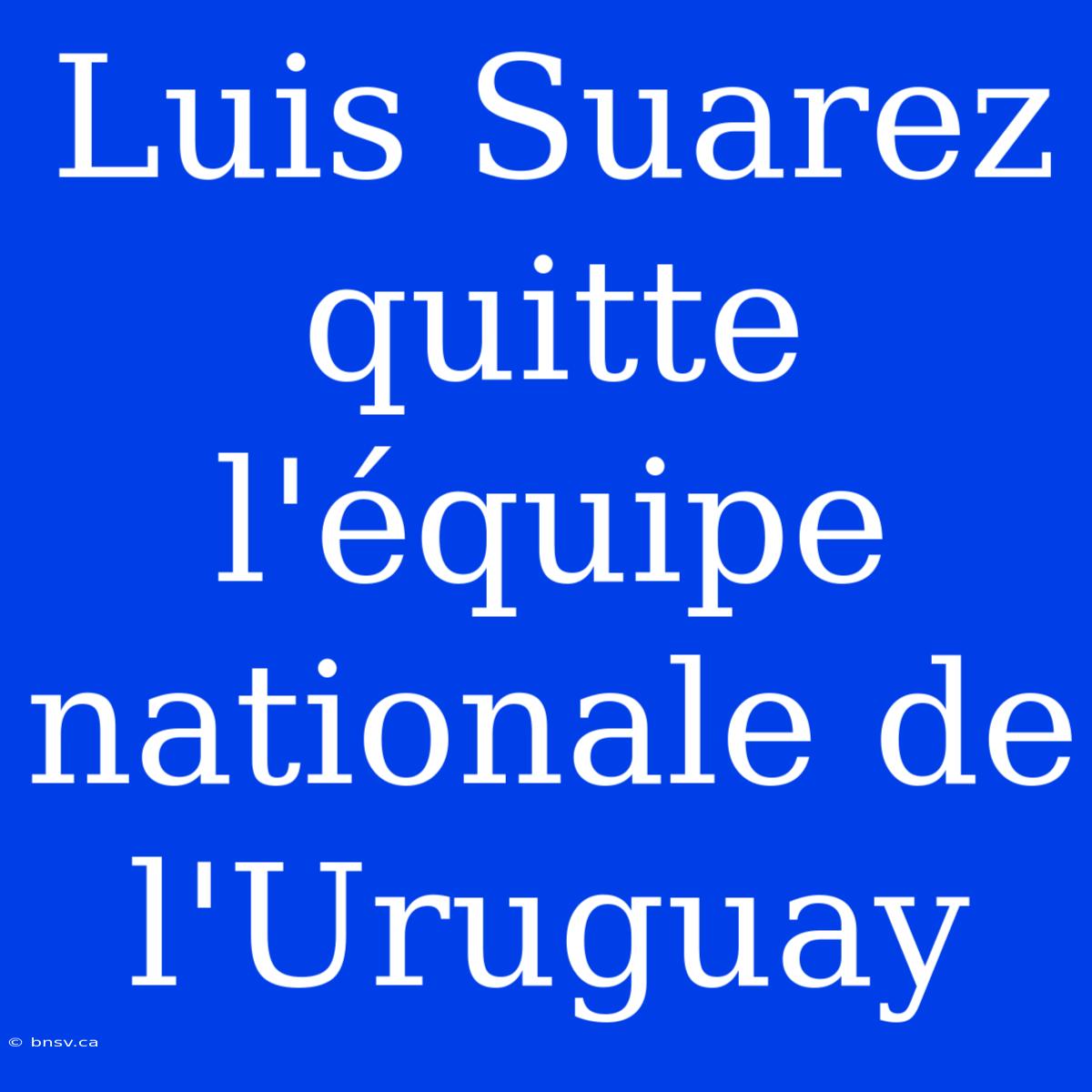 Luis Suarez Quitte L'équipe Nationale De L'Uruguay