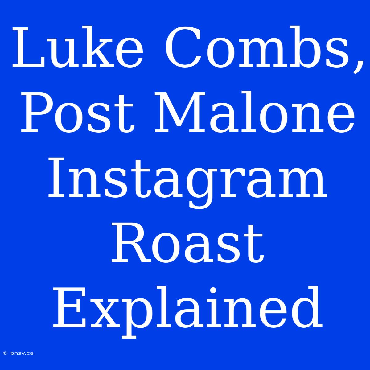 Luke Combs, Post Malone Instagram Roast Explained