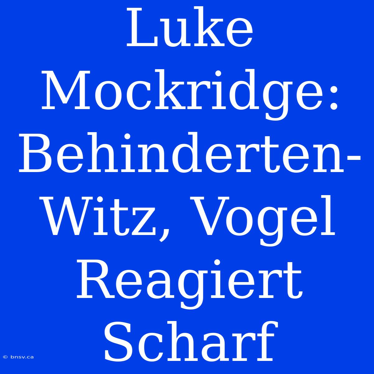 Luke Mockridge: Behinderten-Witz, Vogel Reagiert Scharf