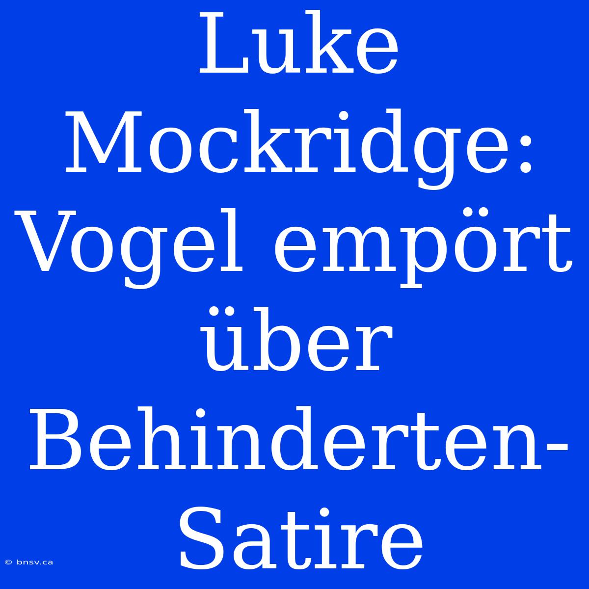 Luke Mockridge: Vogel Empört Über Behinderten-Satire