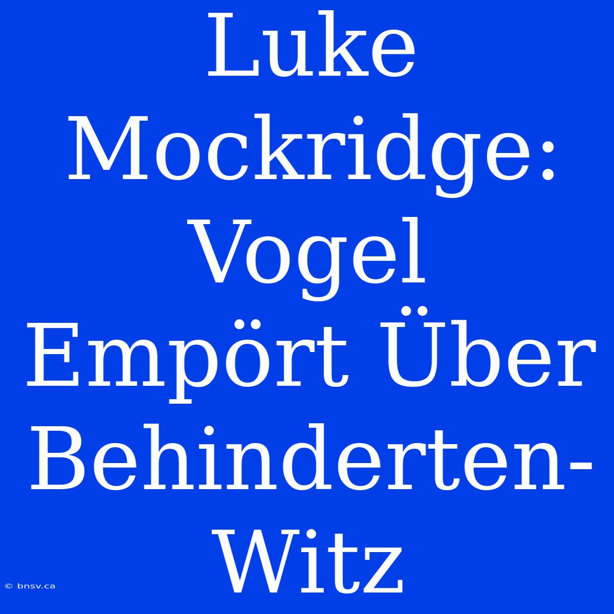 Luke Mockridge: Vogel Empört Über Behinderten-Witz