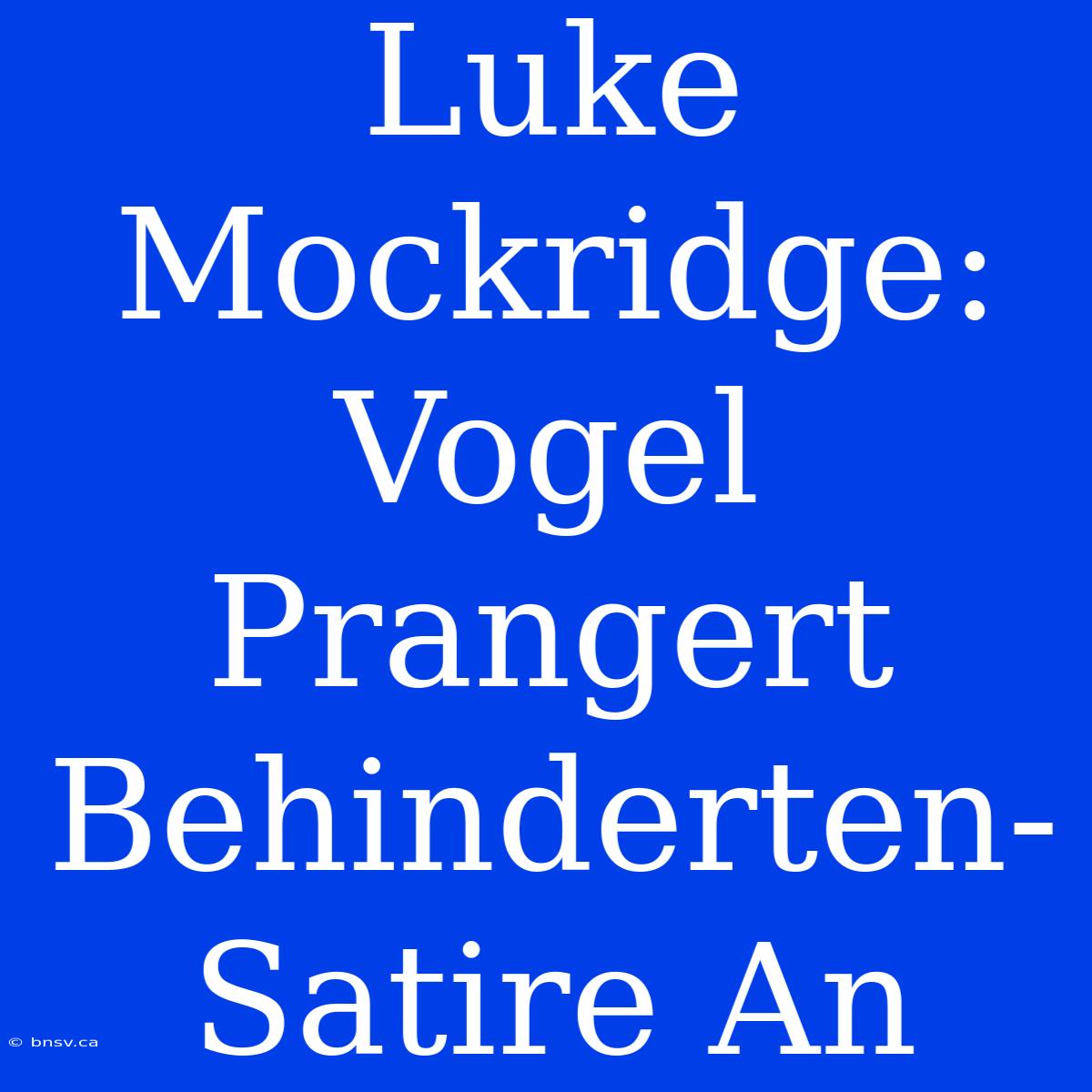 Luke Mockridge: Vogel Prangert Behinderten-Satire An