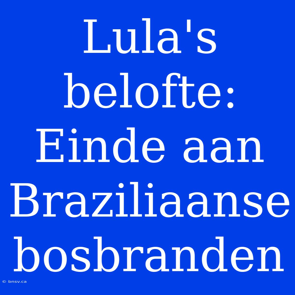 Lula's Belofte: Einde Aan Braziliaanse Bosbranden