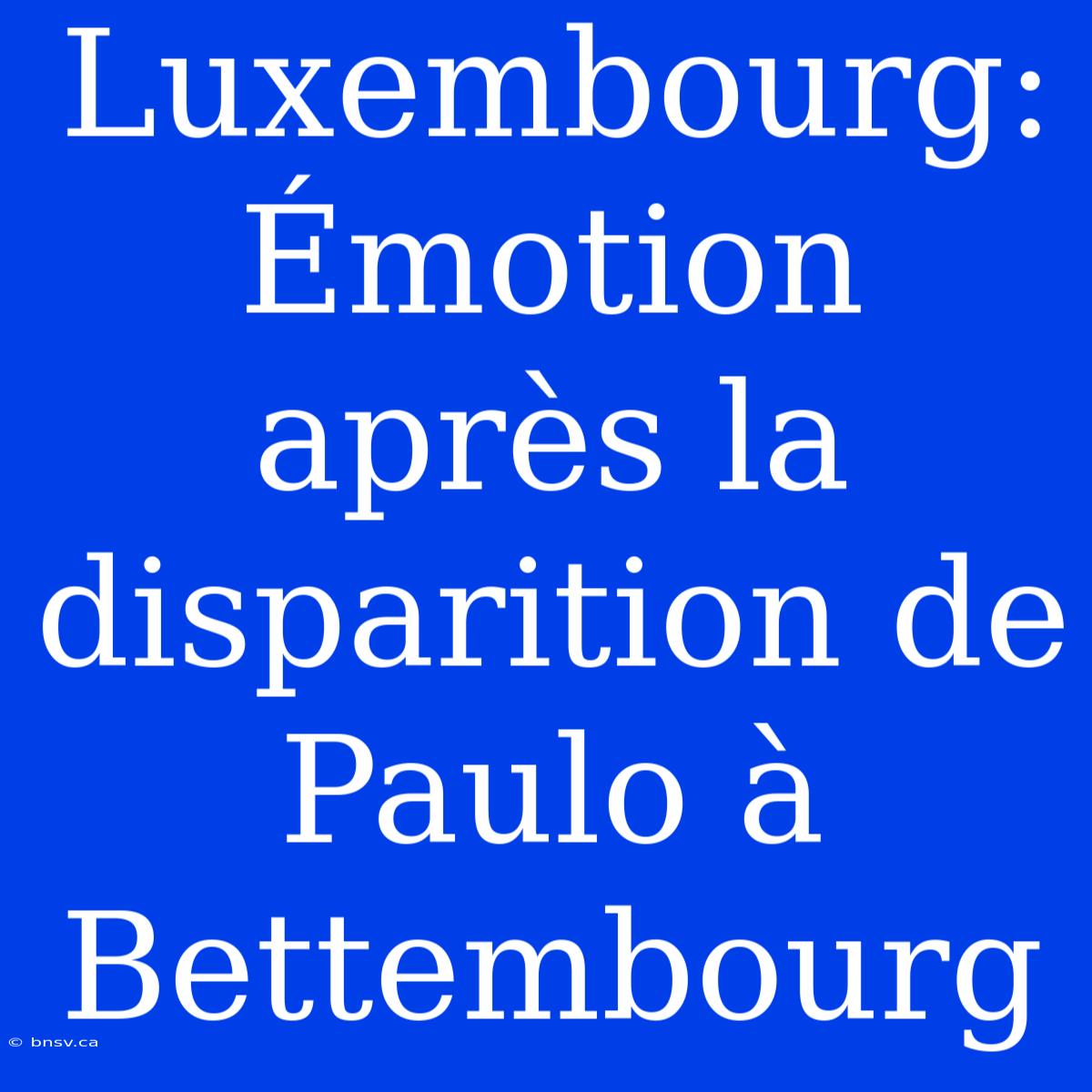 Luxembourg: Émotion Après La Disparition De Paulo À Bettembourg