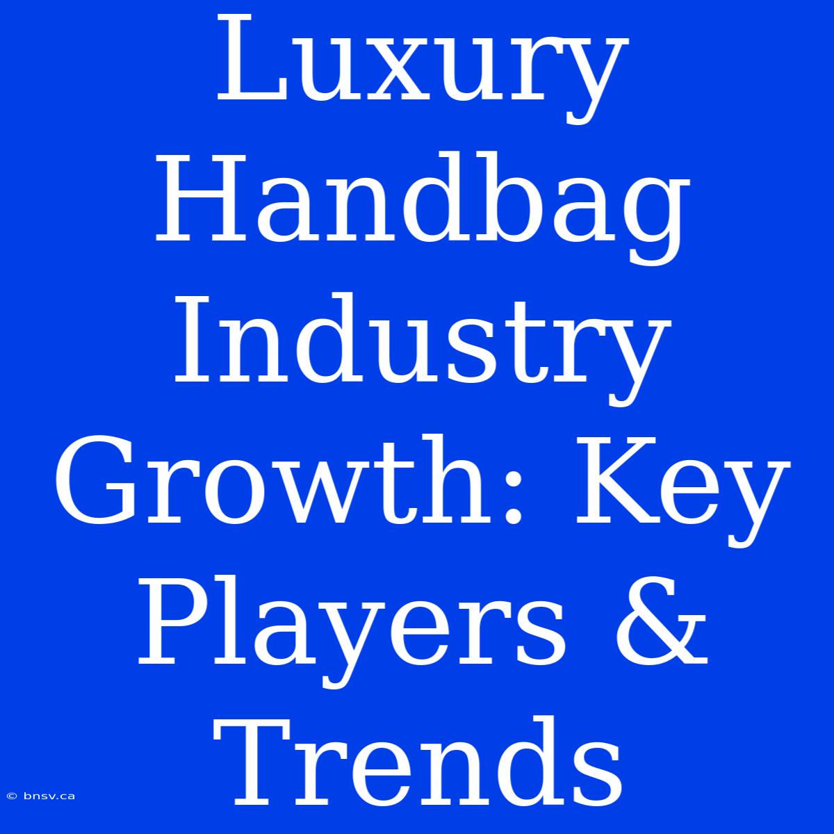 Luxury Handbag Industry Growth: Key Players & Trends