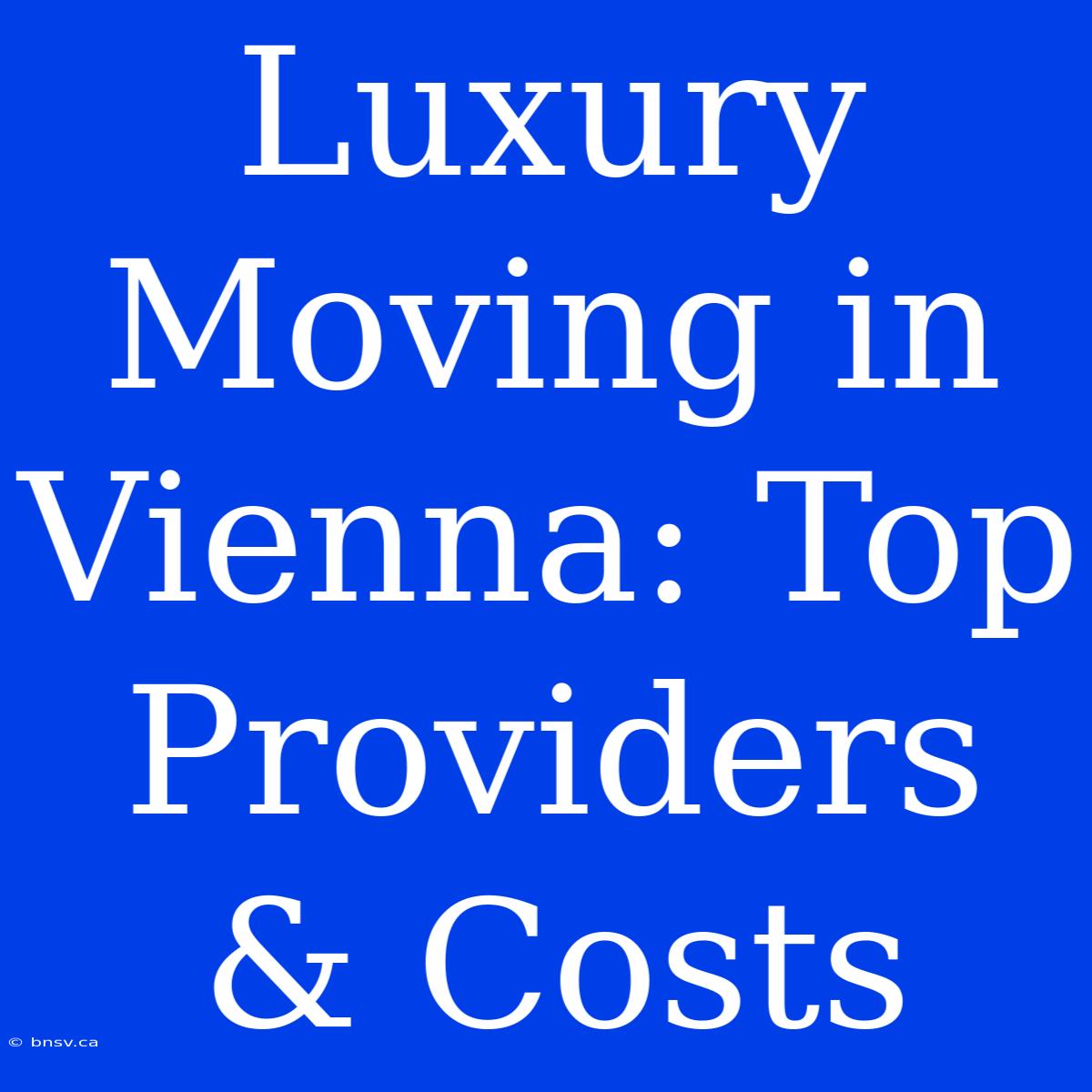 Luxury Moving In Vienna: Top Providers & Costs