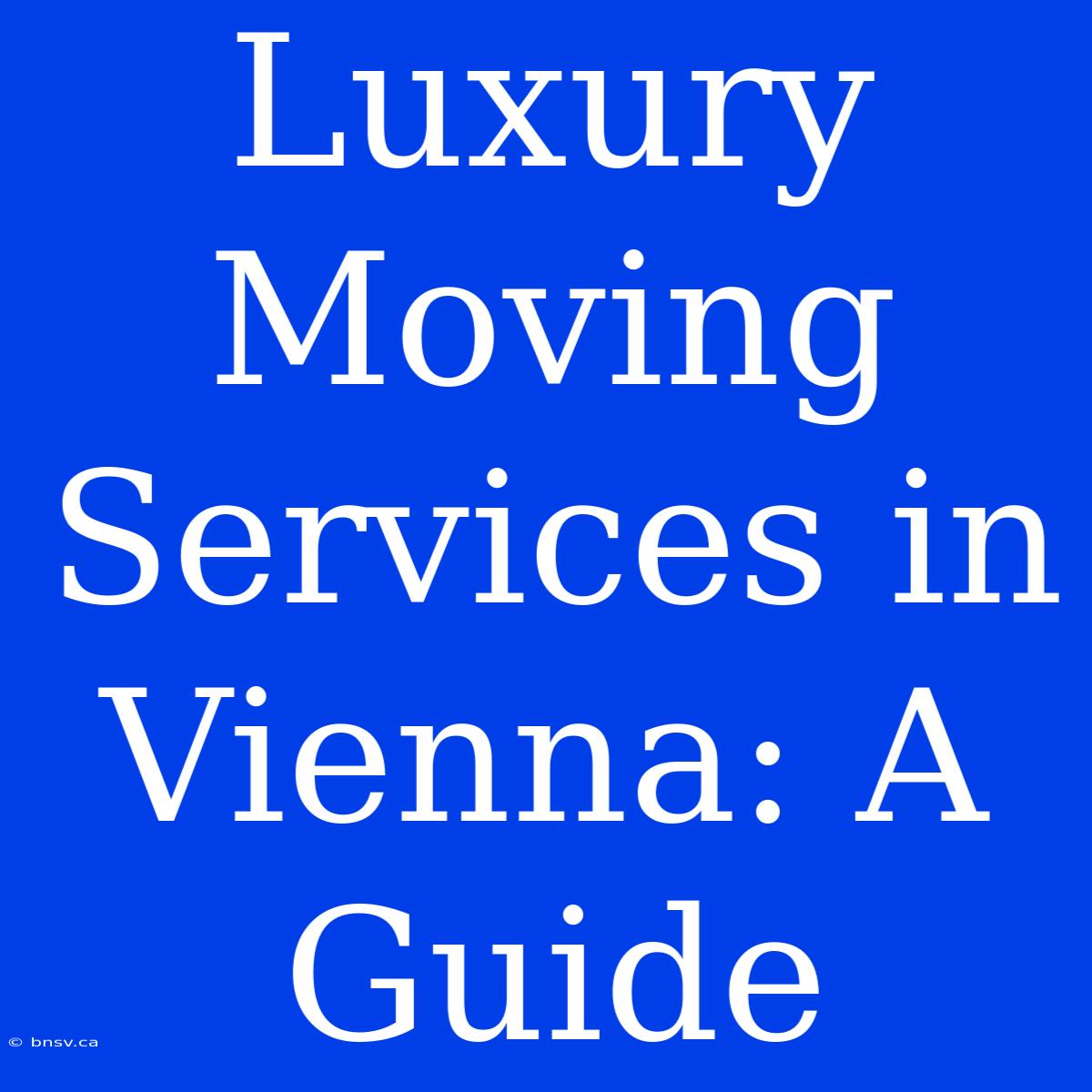 Luxury Moving Services In Vienna: A Guide