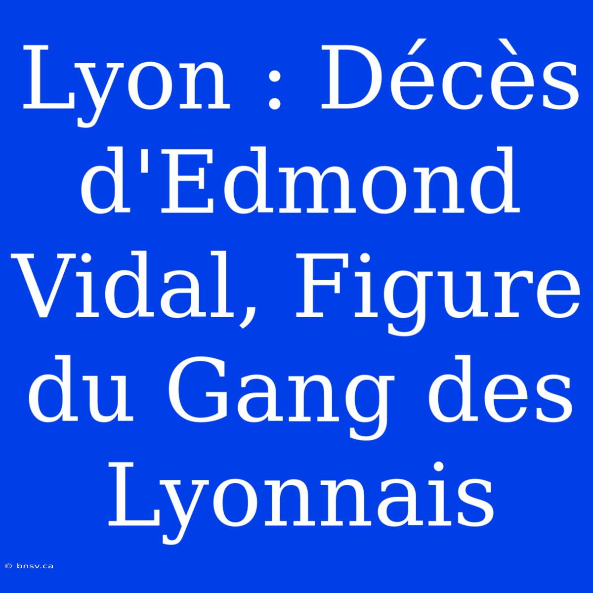 Lyon : Décès D'Edmond Vidal, Figure Du Gang Des Lyonnais