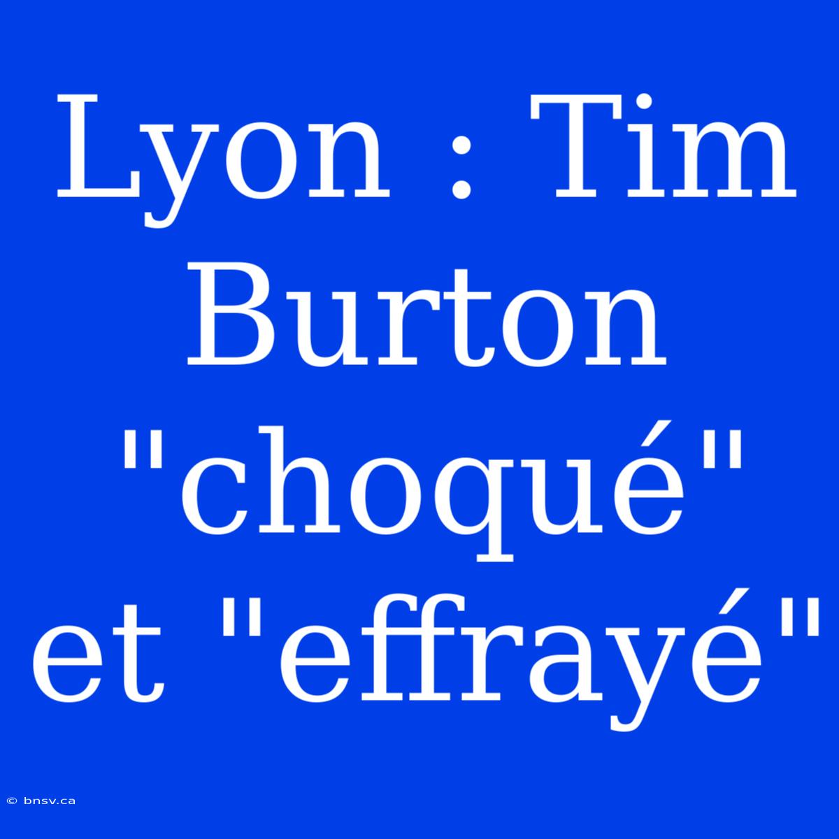 Lyon : Tim Burton 