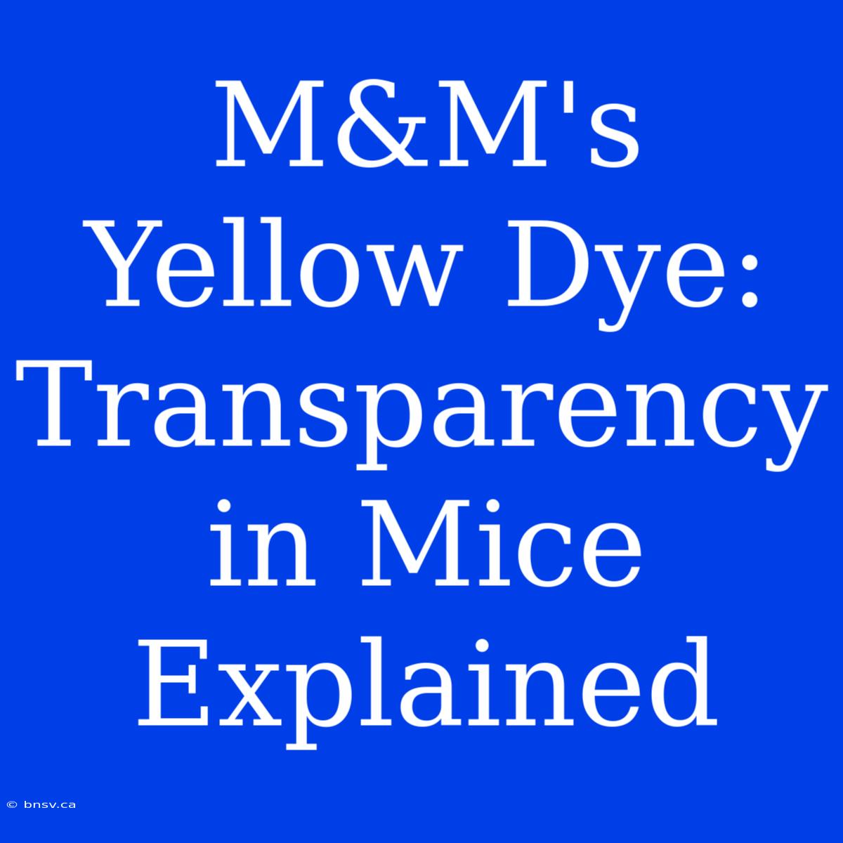 M&M's Yellow Dye: Transparency In Mice Explained