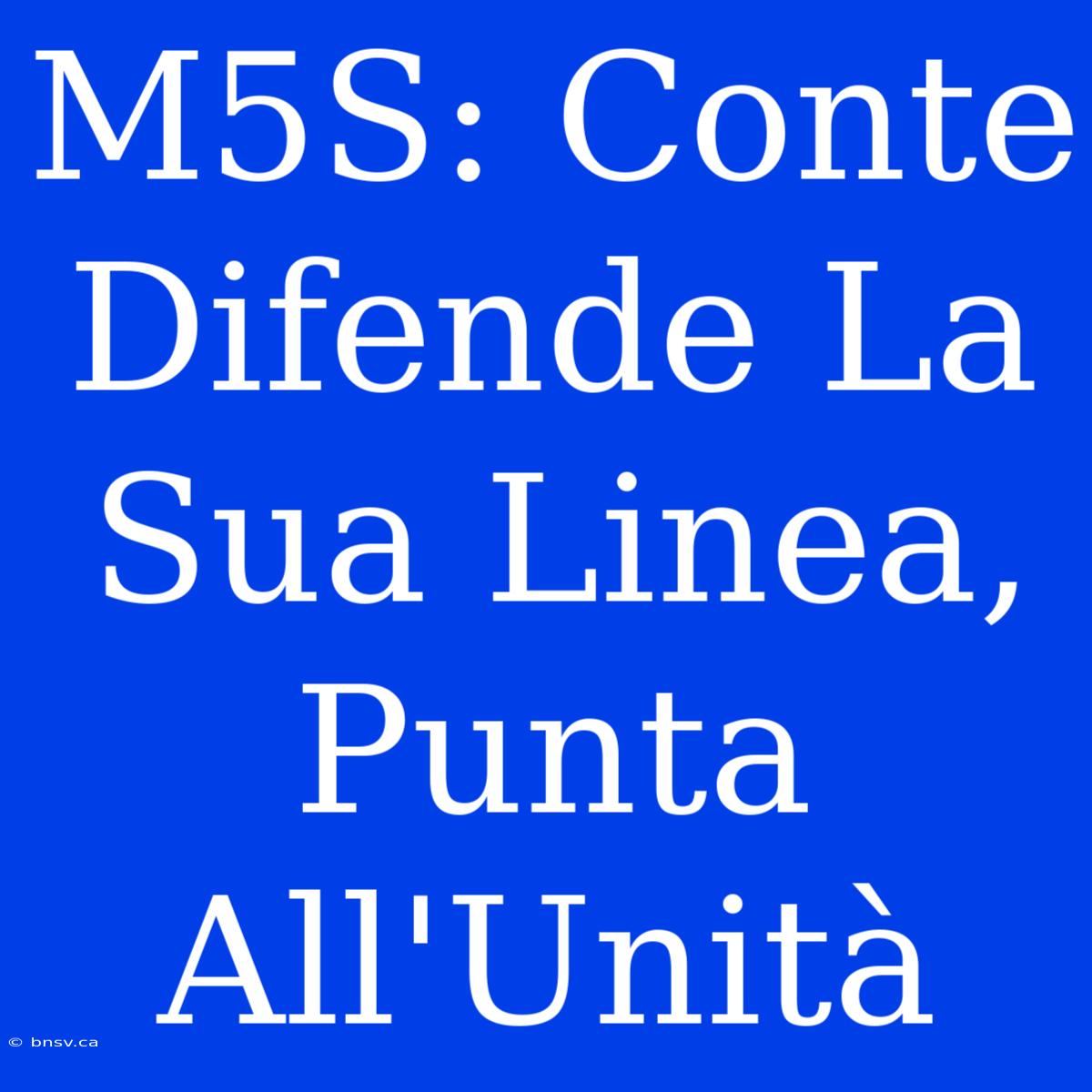 M5S: Conte Difende La Sua Linea, Punta All'Unità