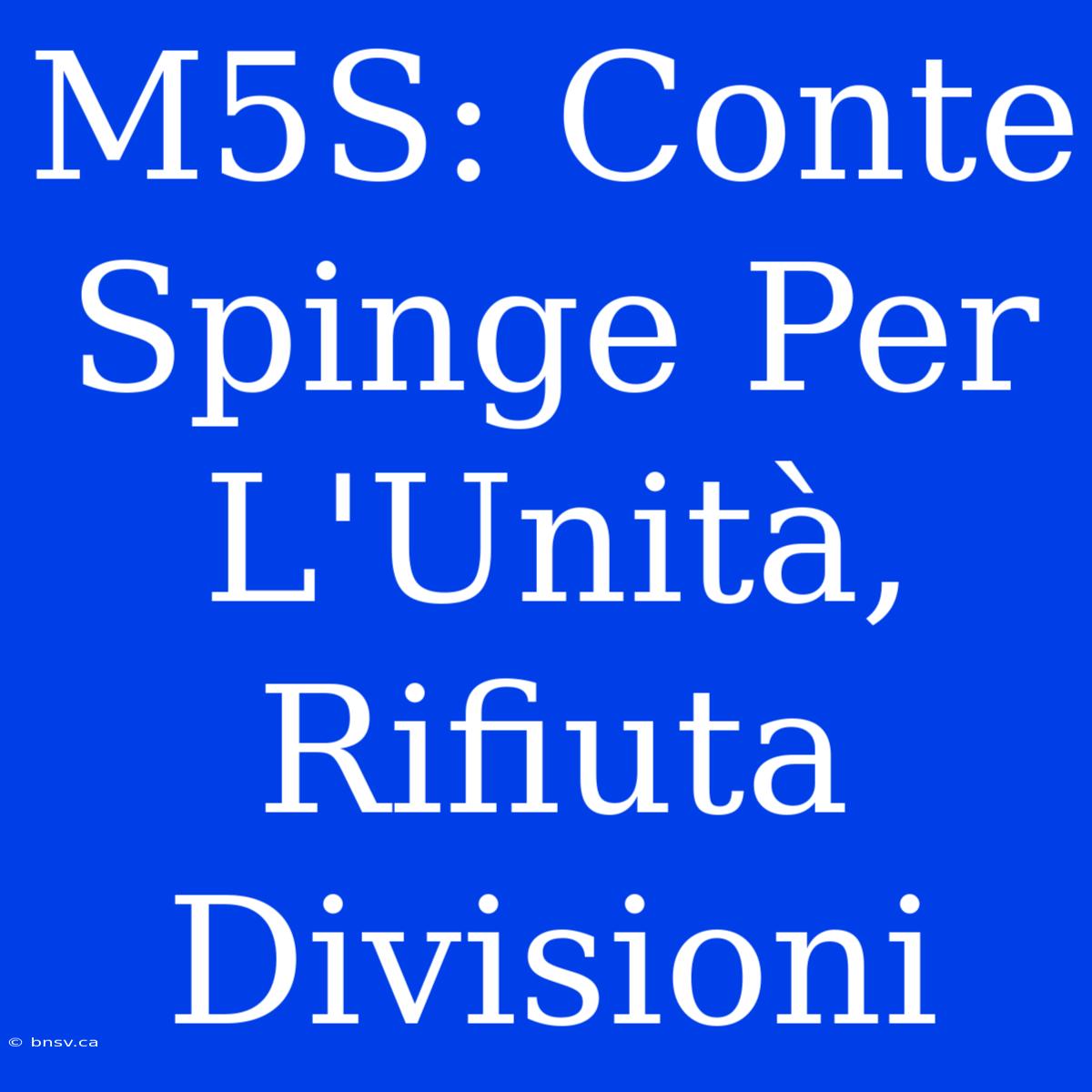 M5S: Conte Spinge Per L'Unità, Rifiuta Divisioni