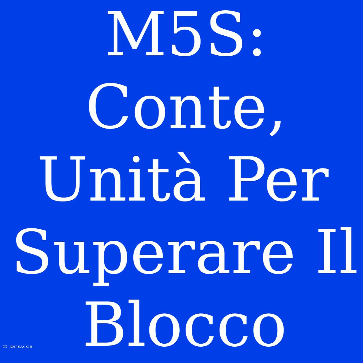 M5S: Conte, Unità Per Superare Il Blocco