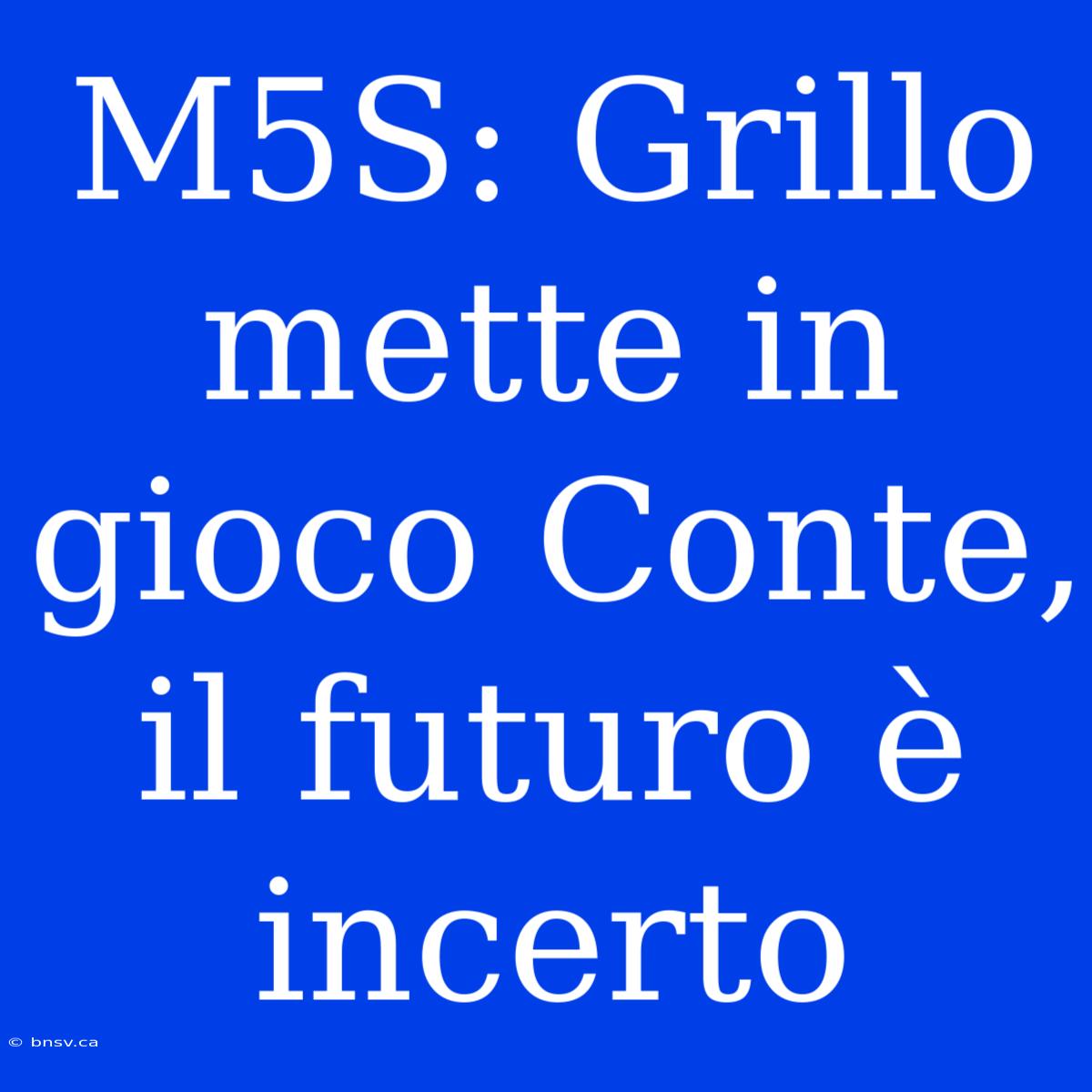 M5S: Grillo Mette In Gioco Conte, Il Futuro È Incerto