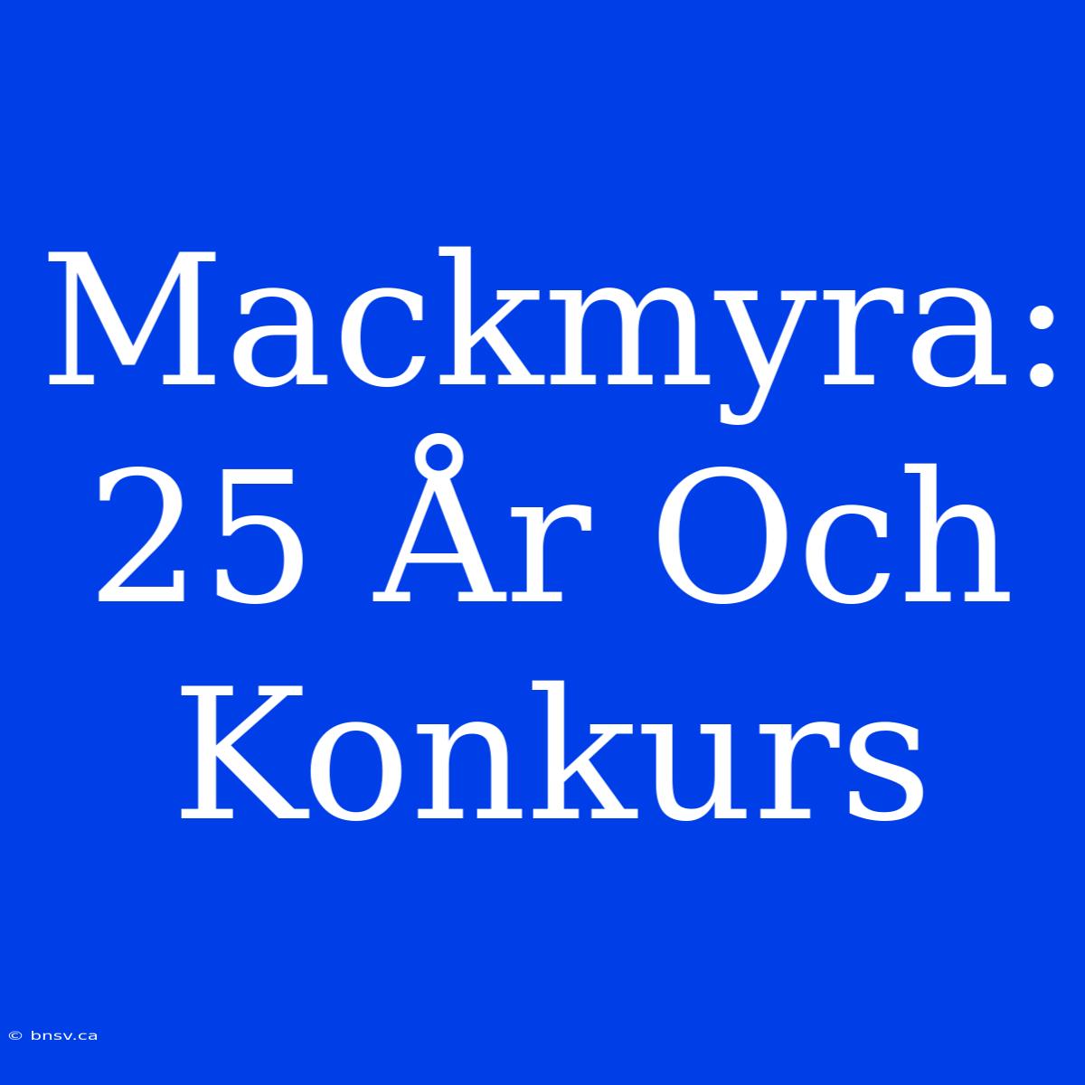 Mackmyra: 25 År Och Konkurs