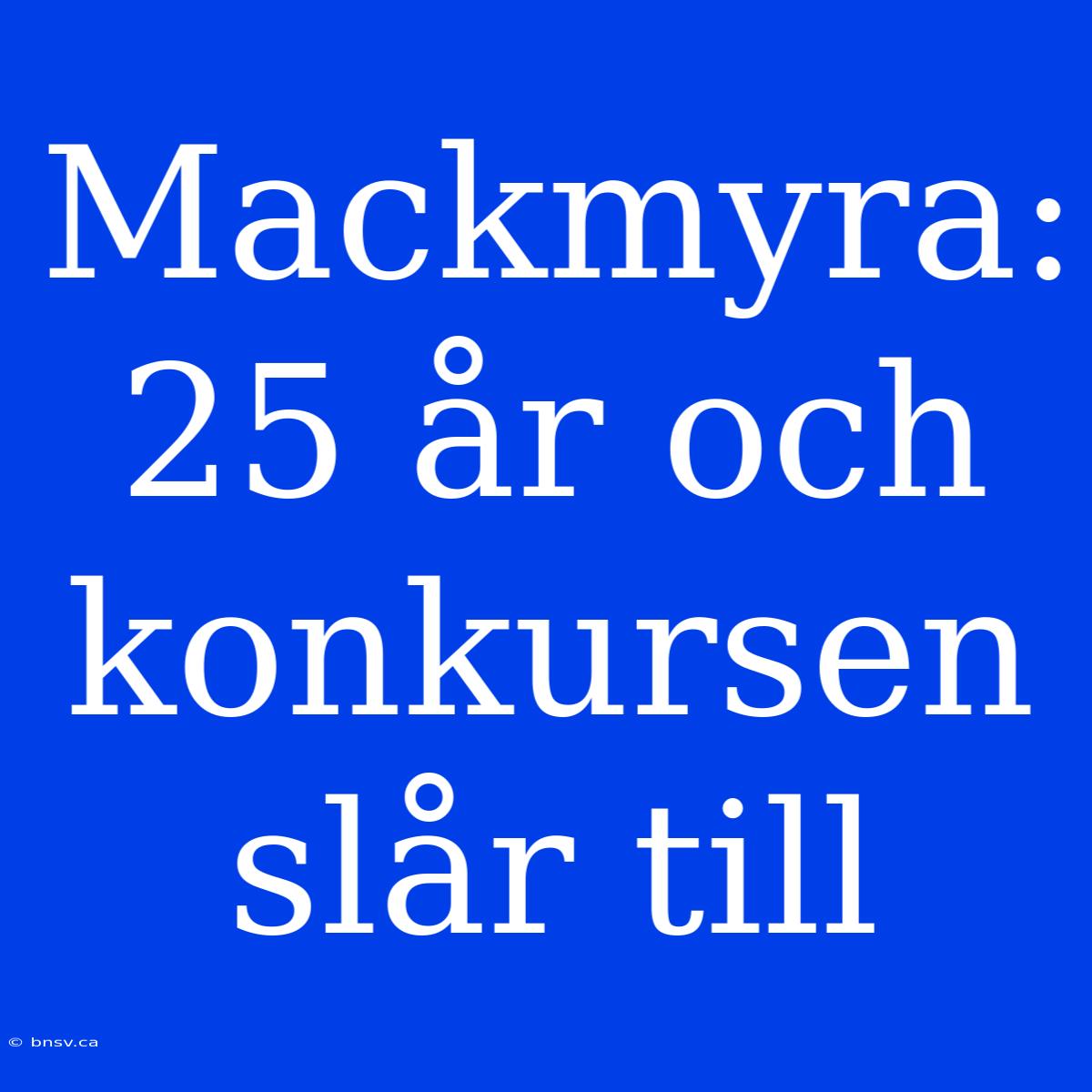 Mackmyra: 25 År Och Konkursen Slår Till