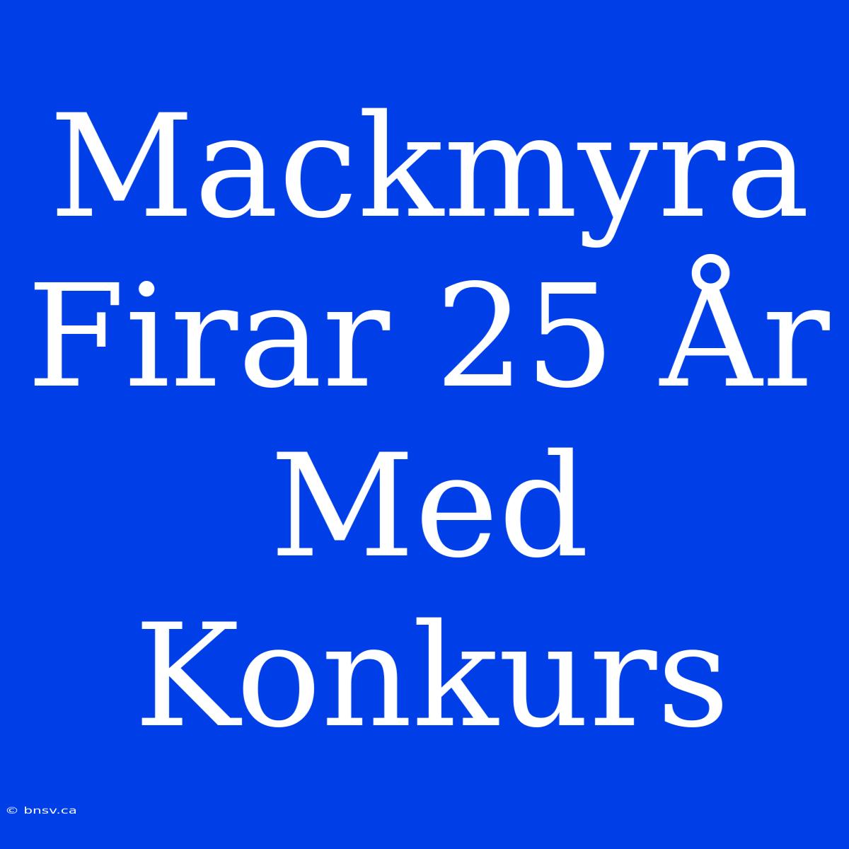 Mackmyra Firar 25 År Med Konkurs