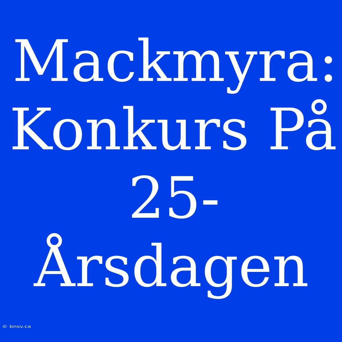 Mackmyra: Konkurs På 25-Årsdagen