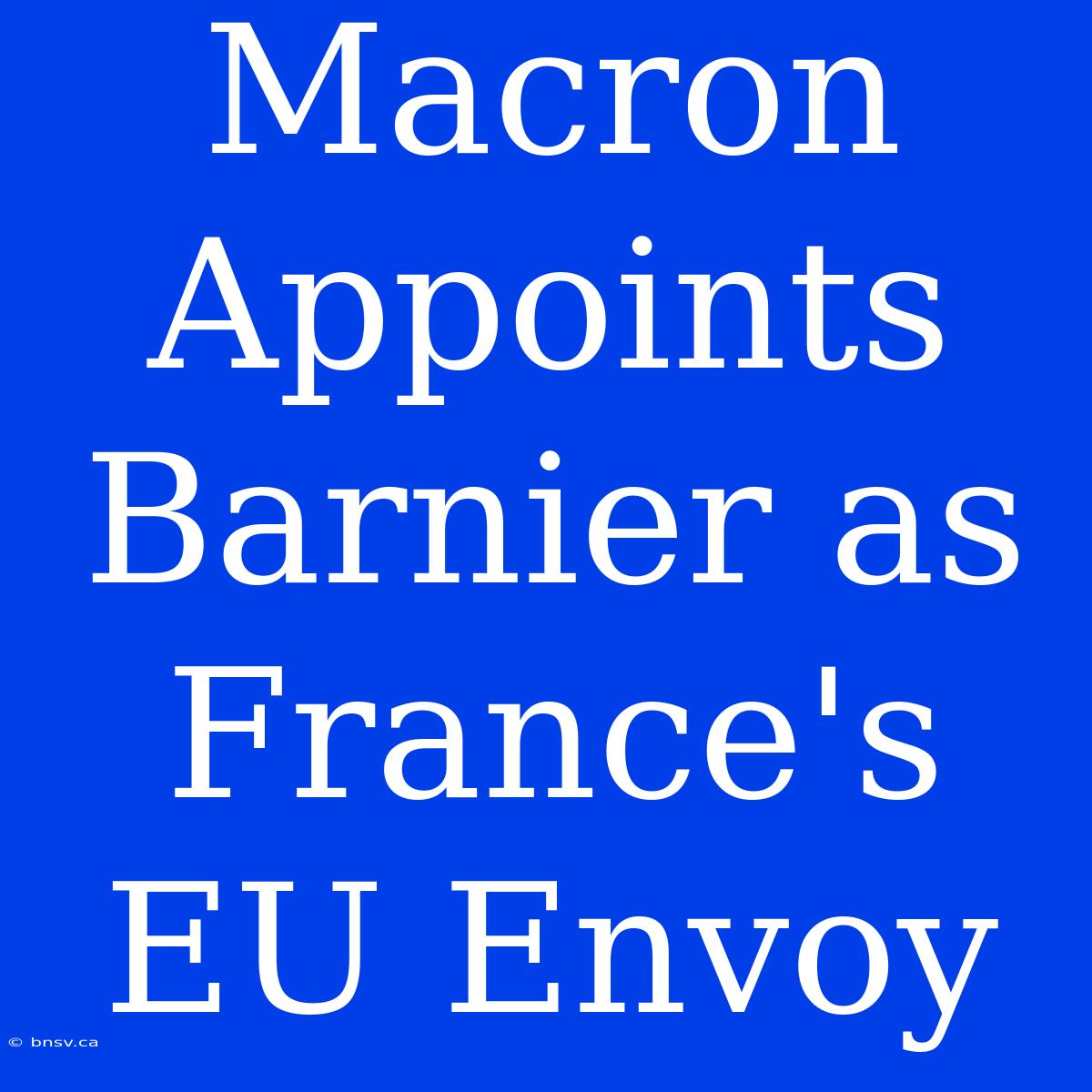 Macron Appoints Barnier As France's EU Envoy