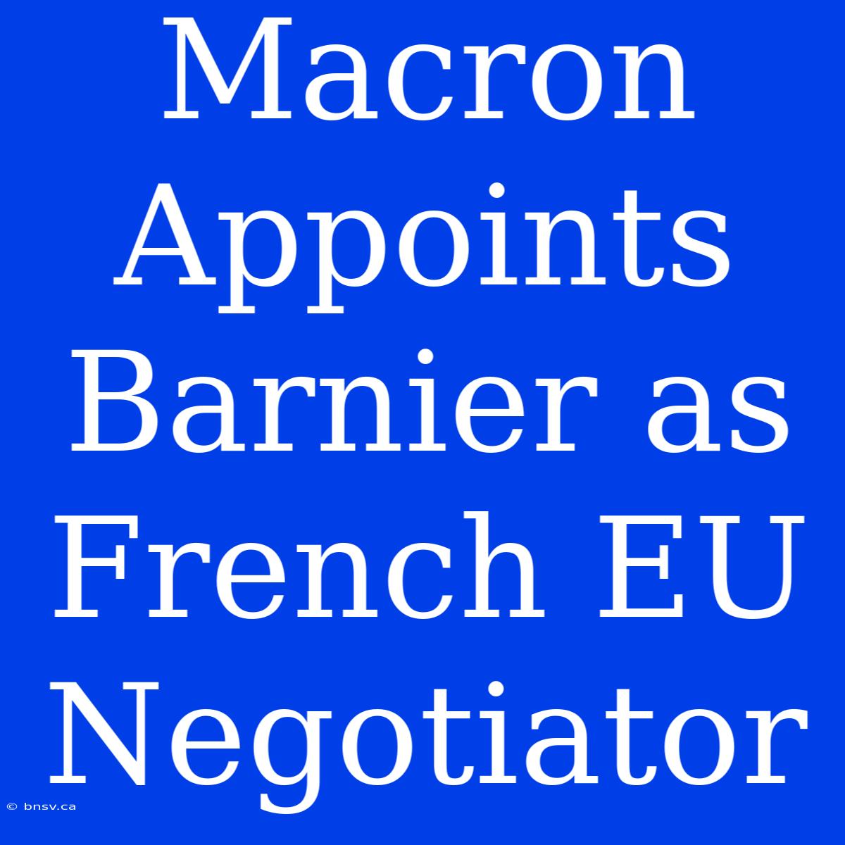 Macron Appoints Barnier As French EU Negotiator