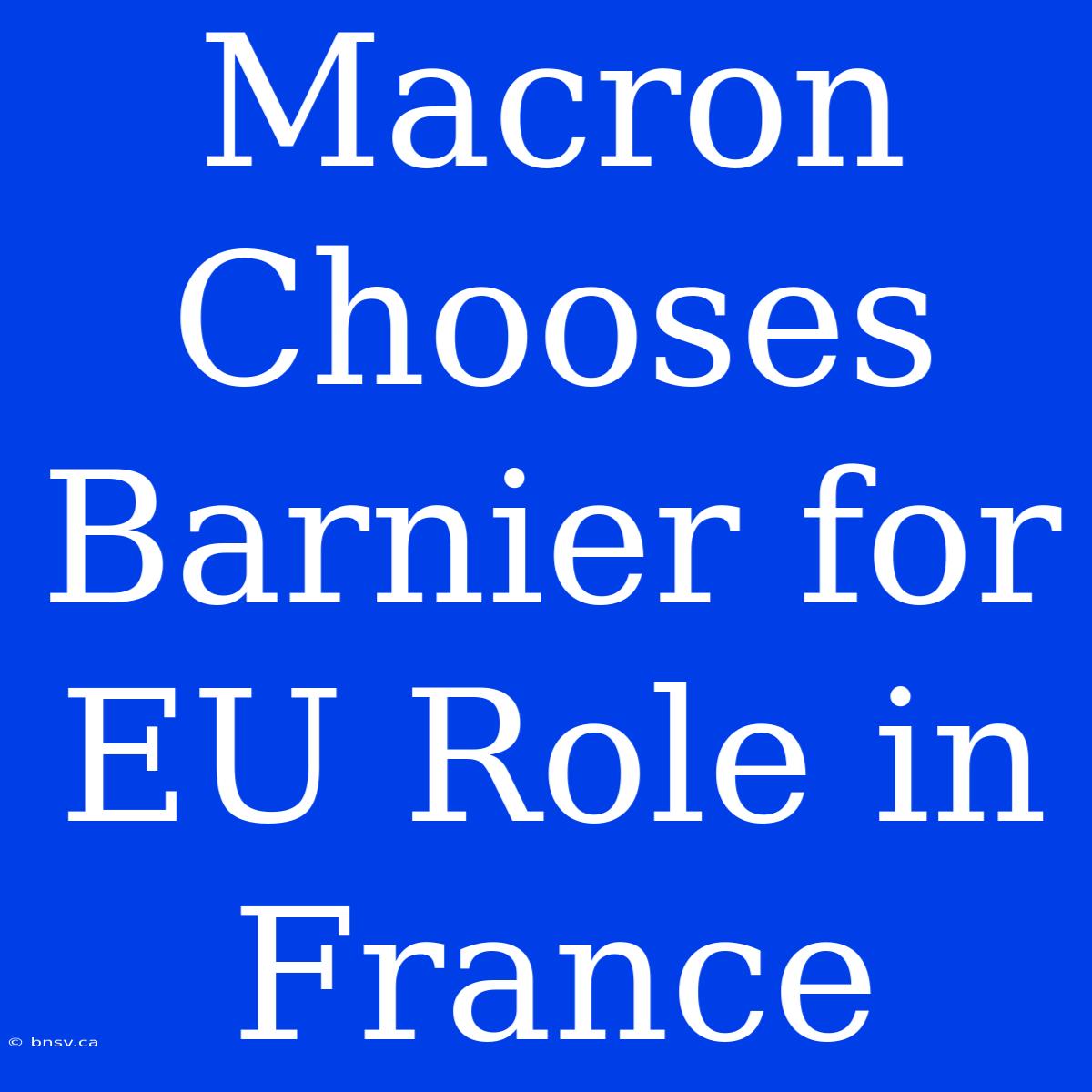 Macron Chooses Barnier For EU Role In France