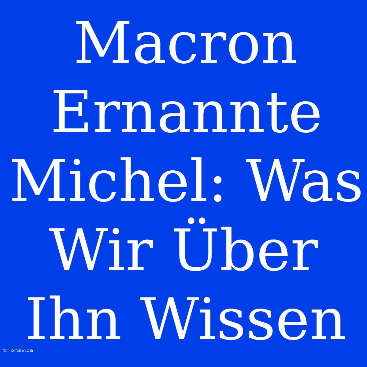 Macron Ernannte Michel: Was Wir Über Ihn Wissen