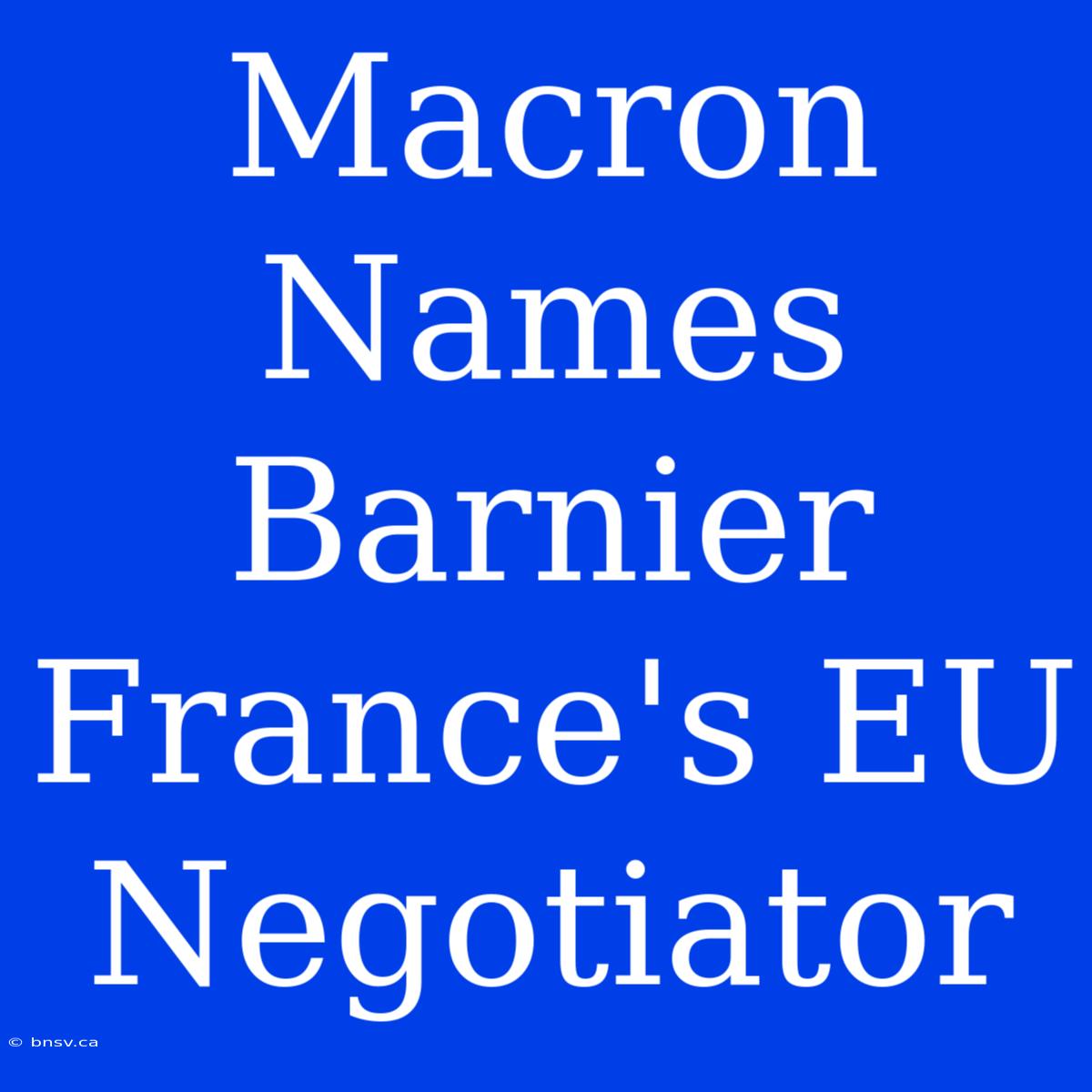 Macron Names Barnier France's EU Negotiator