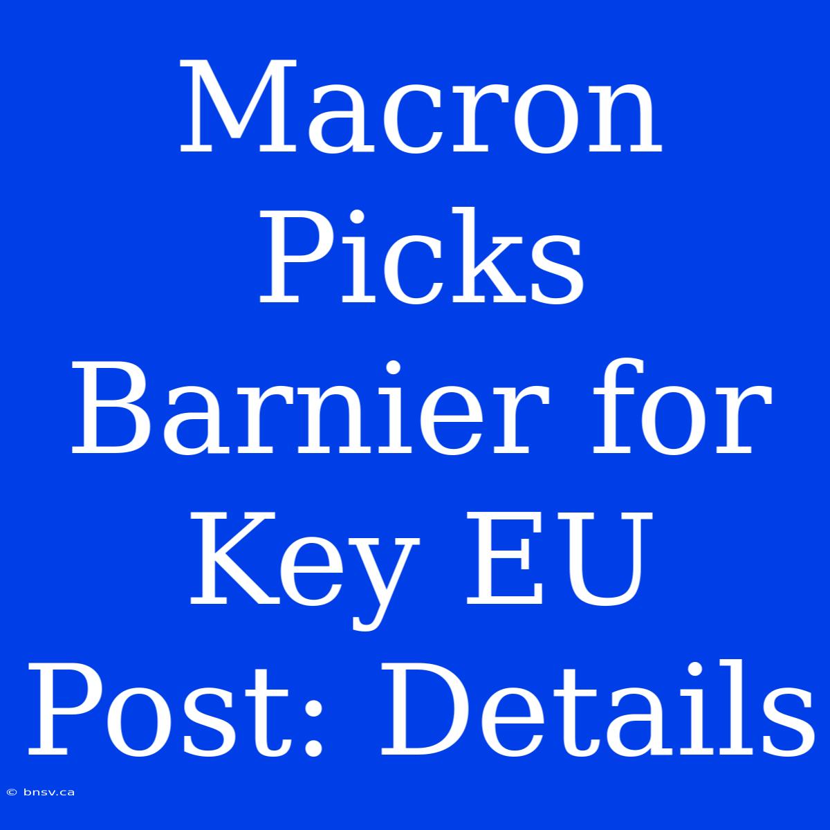 Macron Picks Barnier For Key EU Post: Details