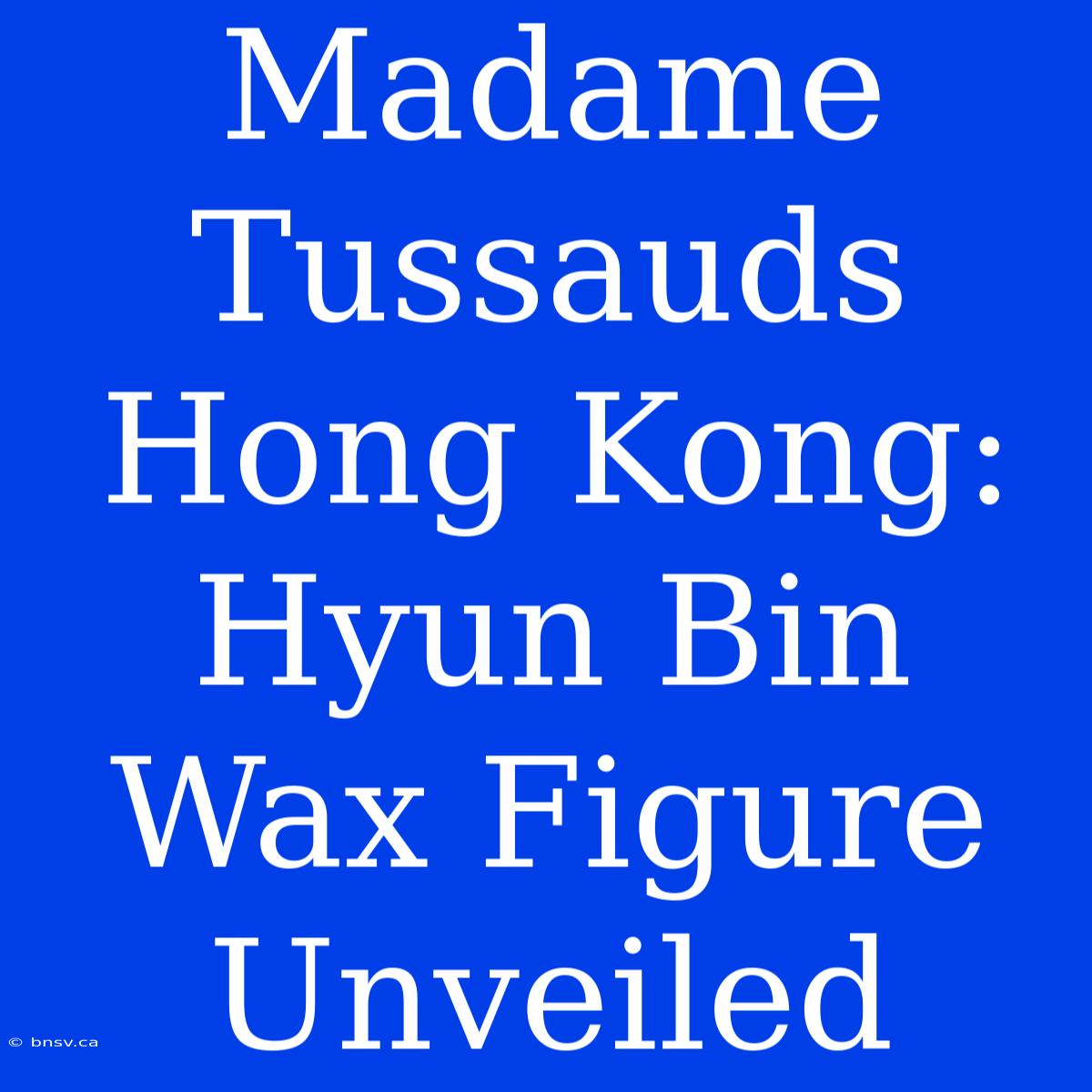 Madame Tussauds Hong Kong: Hyun Bin Wax Figure Unveiled