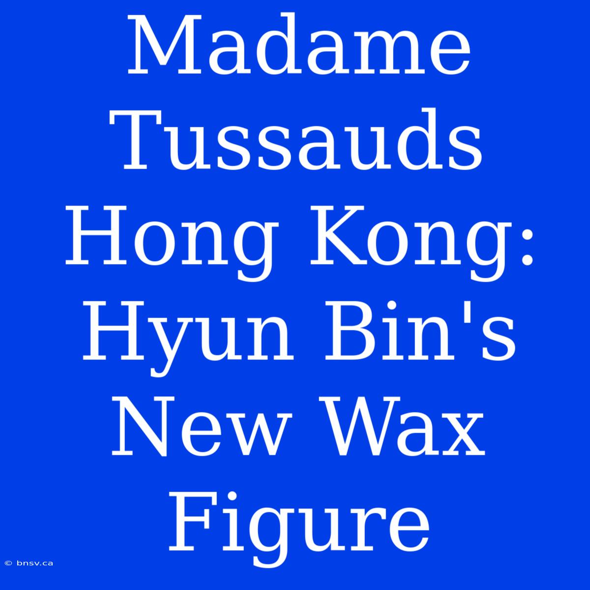 Madame Tussauds Hong Kong: Hyun Bin's New Wax Figure