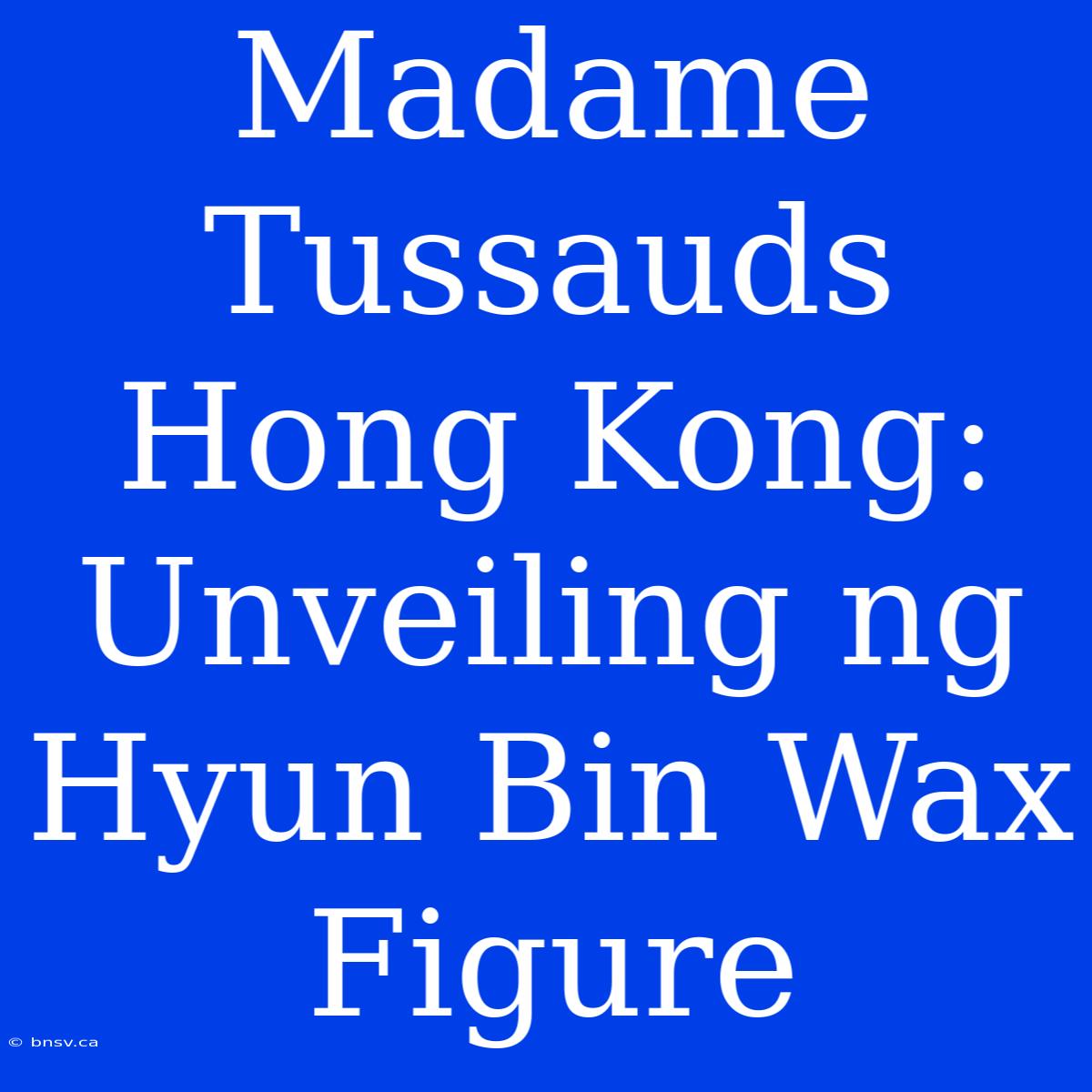 Madame Tussauds Hong Kong: Unveiling Ng Hyun Bin Wax Figure