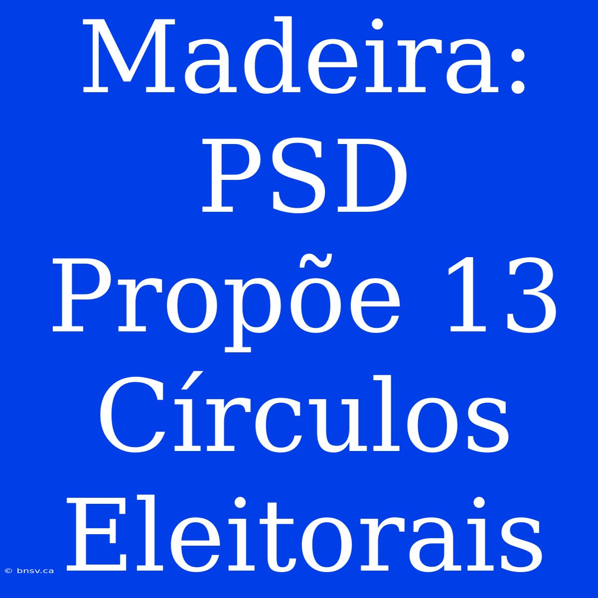 Madeira: PSD Propõe 13 Círculos Eleitorais