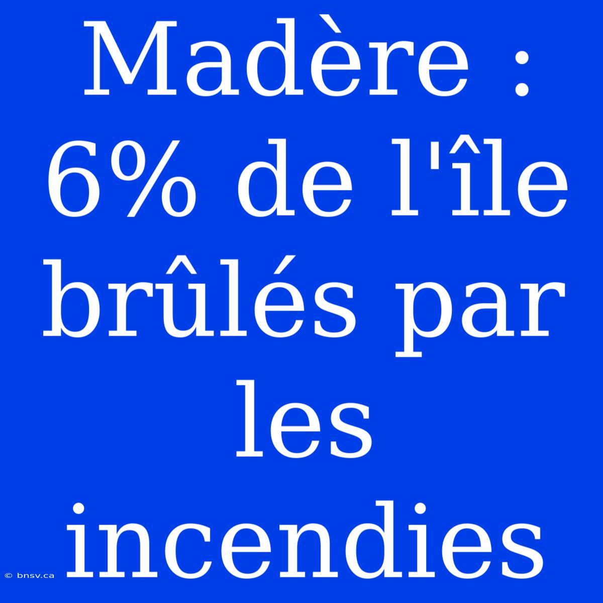 Madère : 6% De L'île Brûlés Par Les Incendies