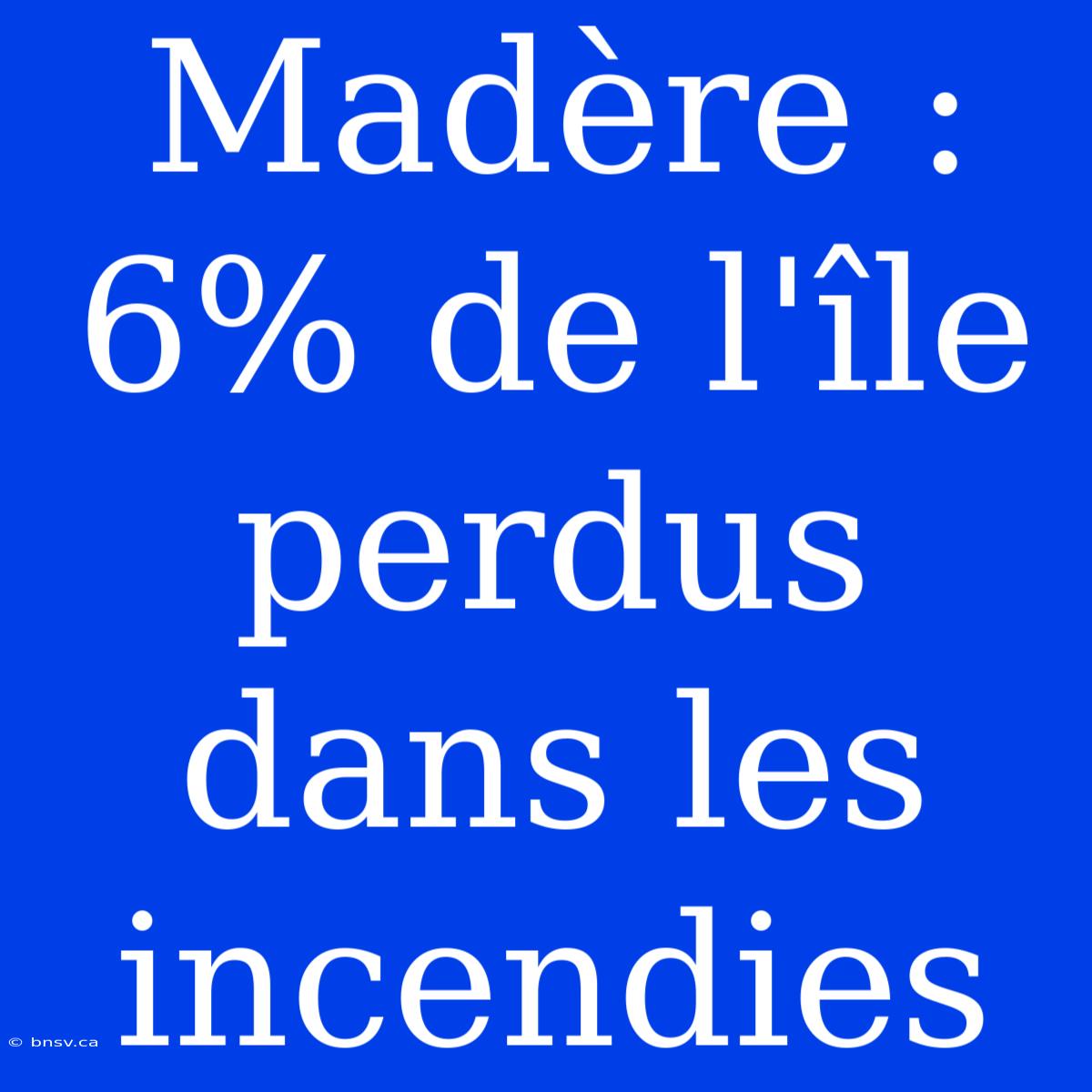 Madère : 6% De L'île Perdus Dans Les Incendies