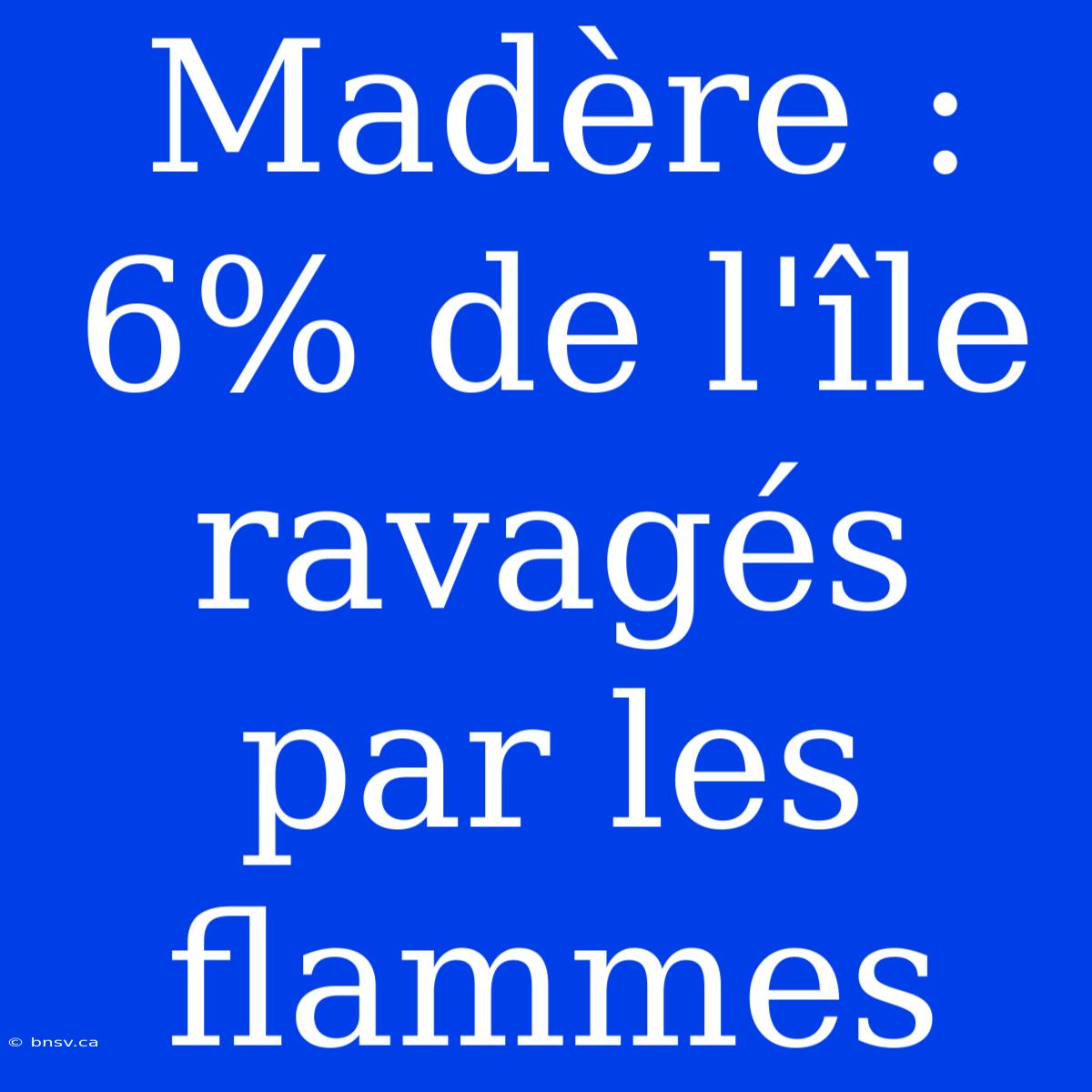 Madère : 6% De L'île Ravagés Par Les Flammes