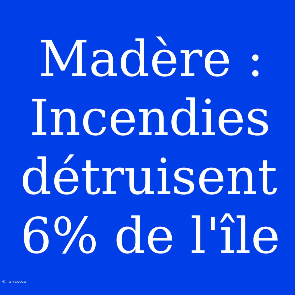 Madère : Incendies Détruisent 6% De L'île