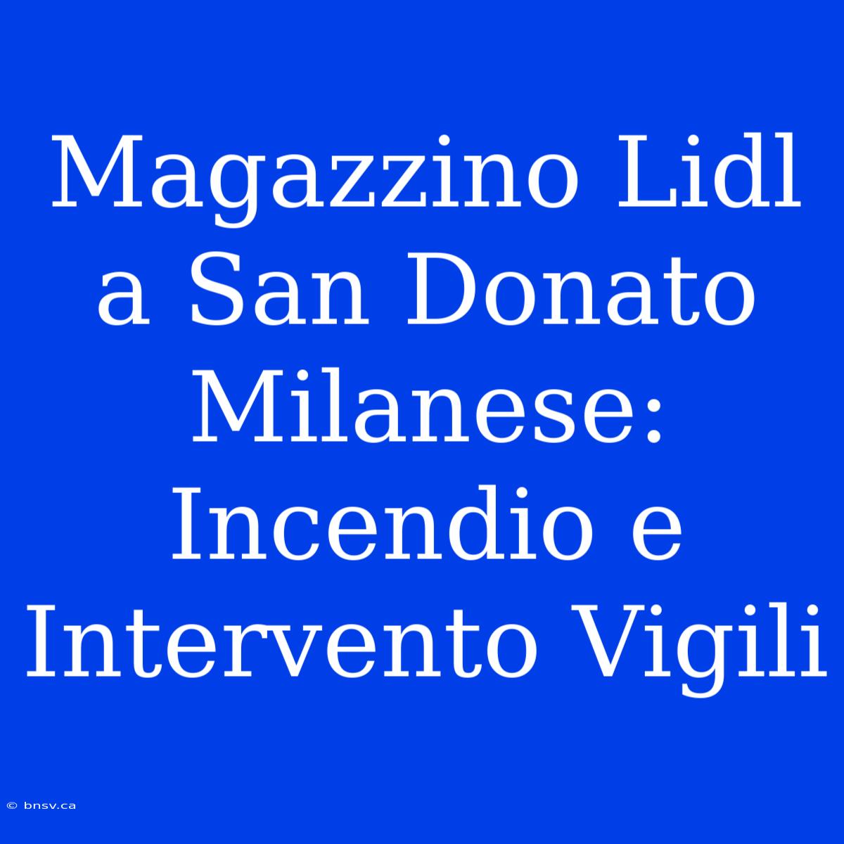 Magazzino Lidl A San Donato Milanese: Incendio E Intervento Vigili