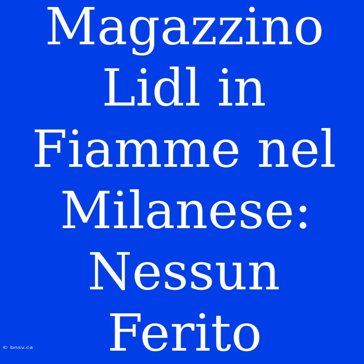 Magazzino Lidl In Fiamme Nel Milanese: Nessun Ferito