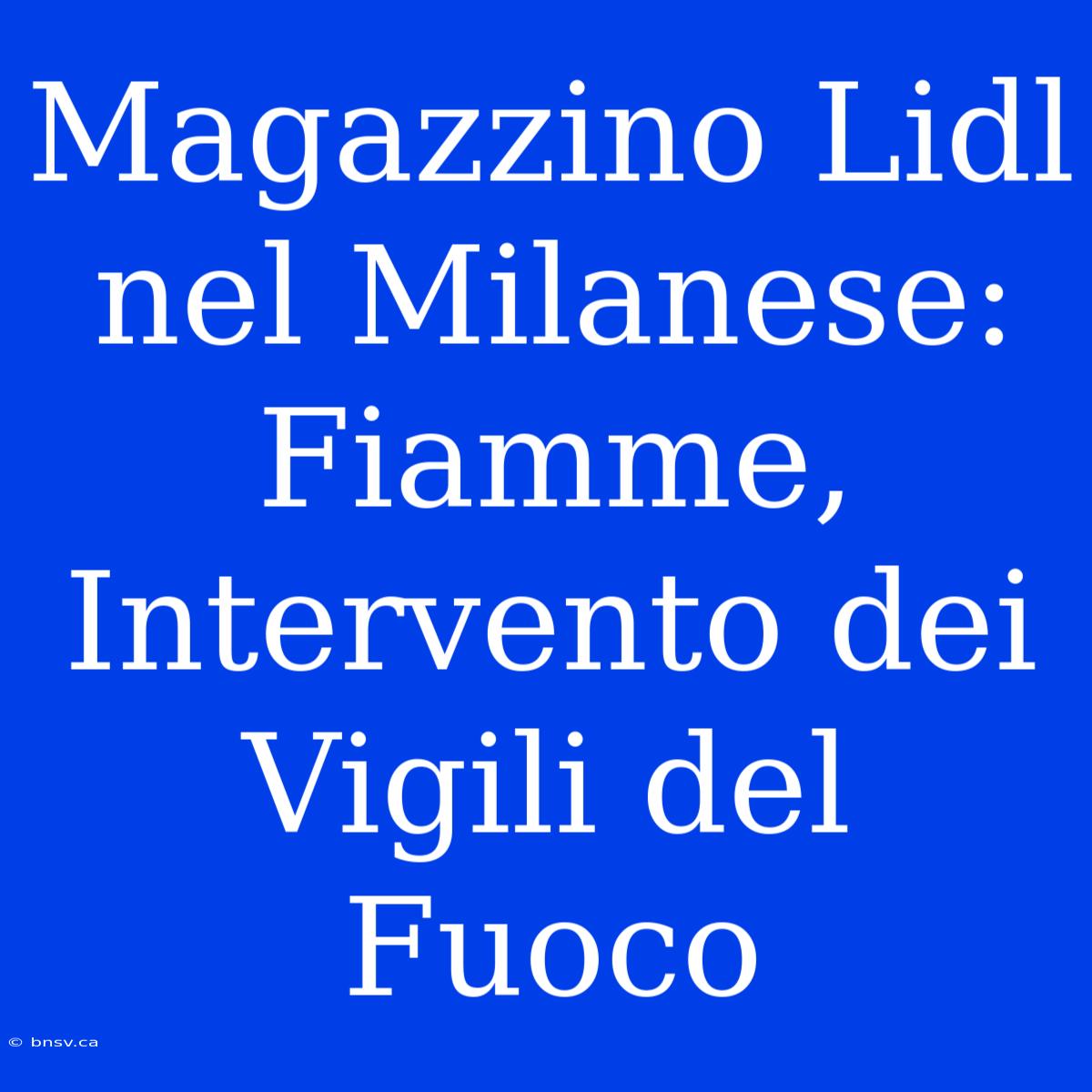 Magazzino Lidl Nel Milanese: Fiamme, Intervento Dei Vigili Del Fuoco