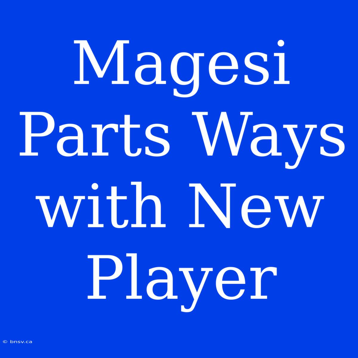 Magesi Parts Ways With New Player